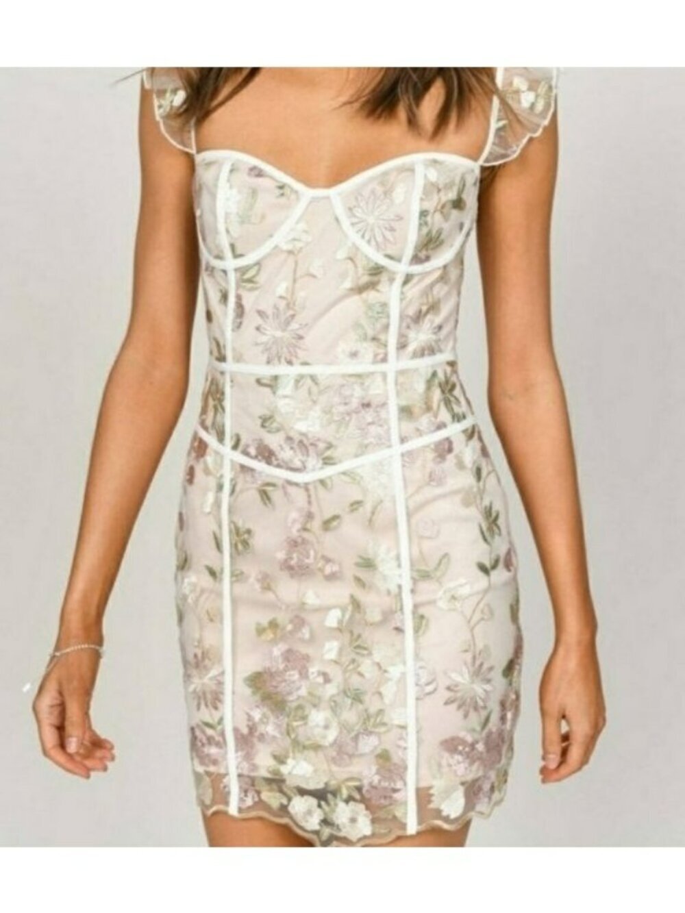 Tobi Floral Embroidered Sheer Mesh Mini Dress Sexi With Ruffled Sleeves XS
